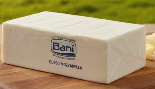Queso Mozzarella (1 kg)